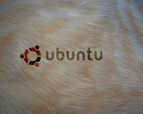 Ubuntu-bg_04
